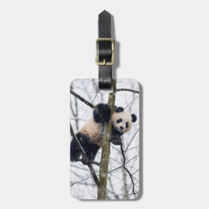 Baby-Panda im Baum Gepäckanhänger