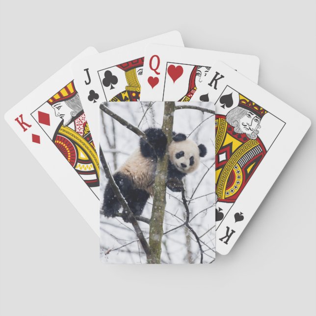 Baby-Panda im Baum Spielkarten (Rückseite)