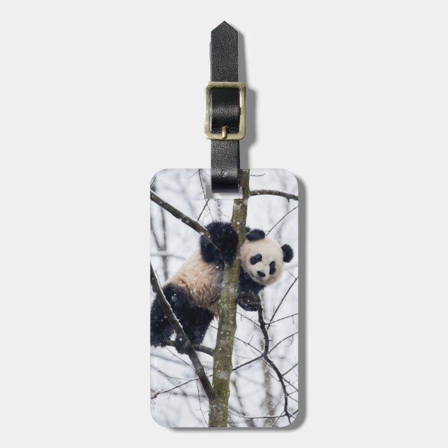 Baby Panda in Tree Gepäckanhänger (Vorderseite vertikal)