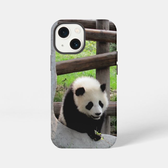 Baby Panda iPhone Hülle (Rückseite)
