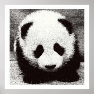 Baby-Panda-Kunstposter Drucke
