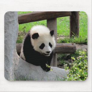 Baby Panda Mousepad