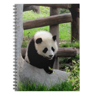 Baby Panda Notizblock