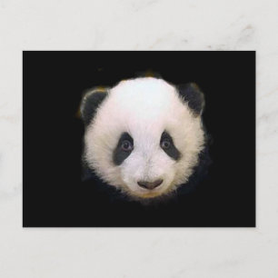 Baby Panda Postkarte