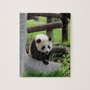 Baby Panda Puzzle