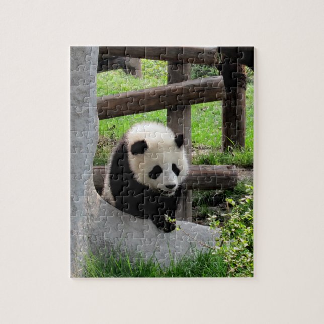 Baby Panda Puzzle (Vertikal)
