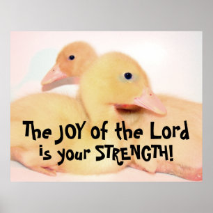 Baby Pekin Duck Duckling Bird Animal Pet Poster