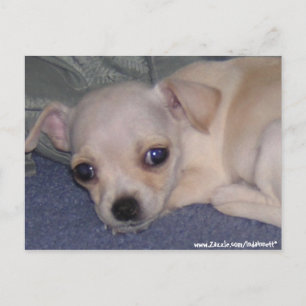 Baby Postcard. Postkarte