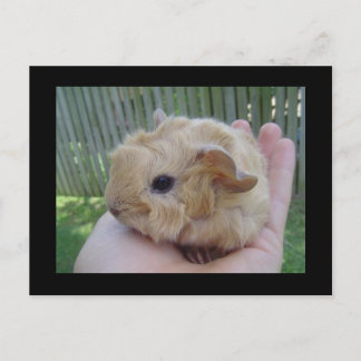 baby postkarte