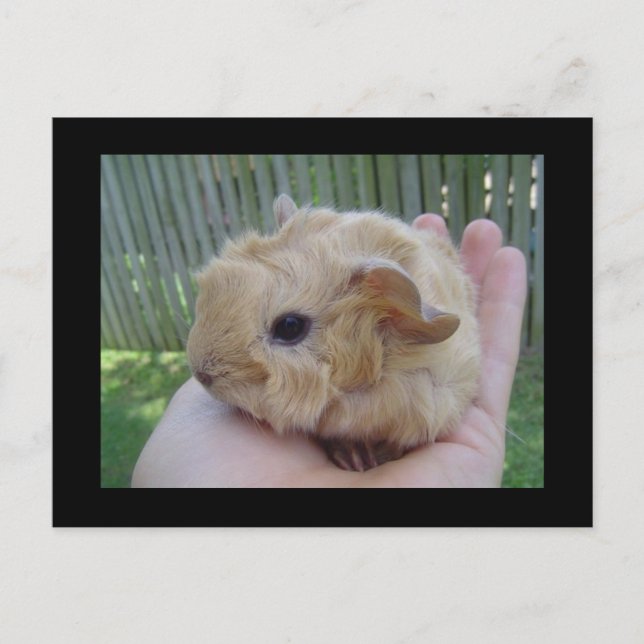 baby postkarte (Vorderseite)