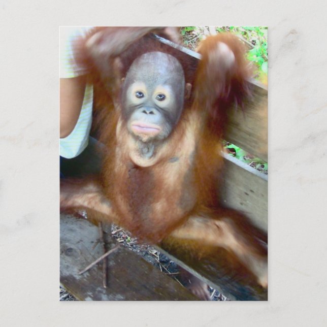 Baby Potty-Unfall Postkarte (Vorderseite)