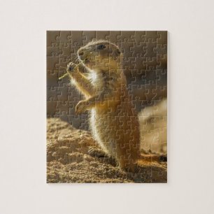 Baby-Präriehund beim Fressen, Arizona Puzzle