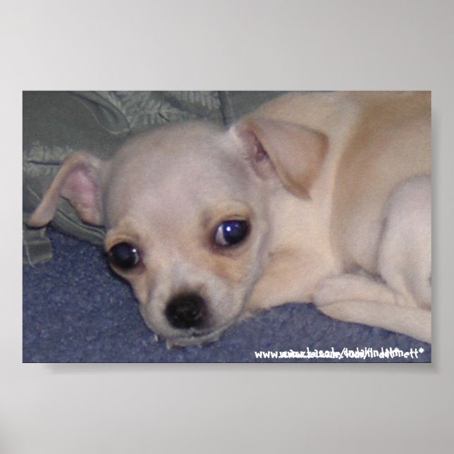 Baby Print. Poster (Vorne)