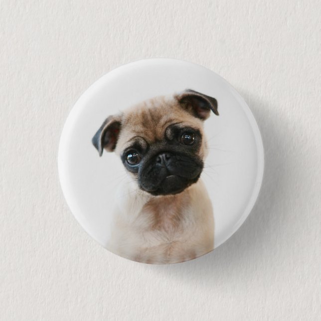 Baby Pug Portrait Button (Vorderseite)
