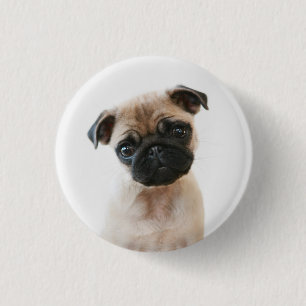Baby Pug Portrait Button