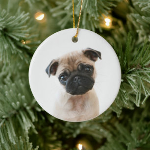 Baby Pug Portrait Keramik Ornament