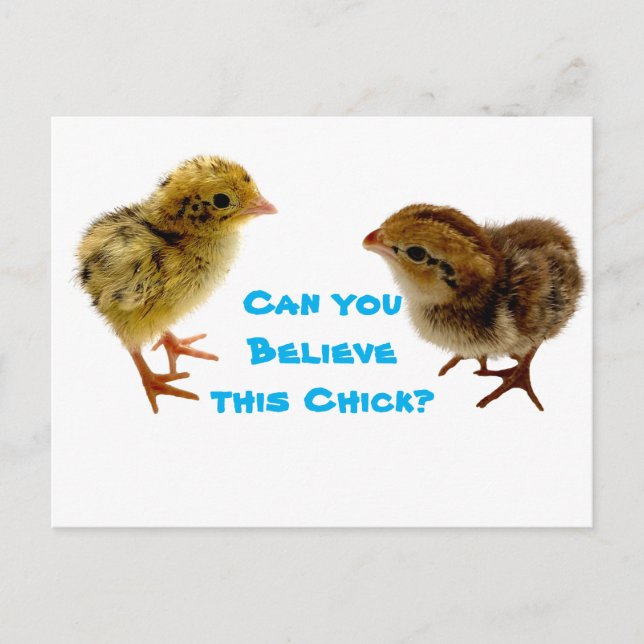 Baby Quail Chick Postkarte (Vorderseite)