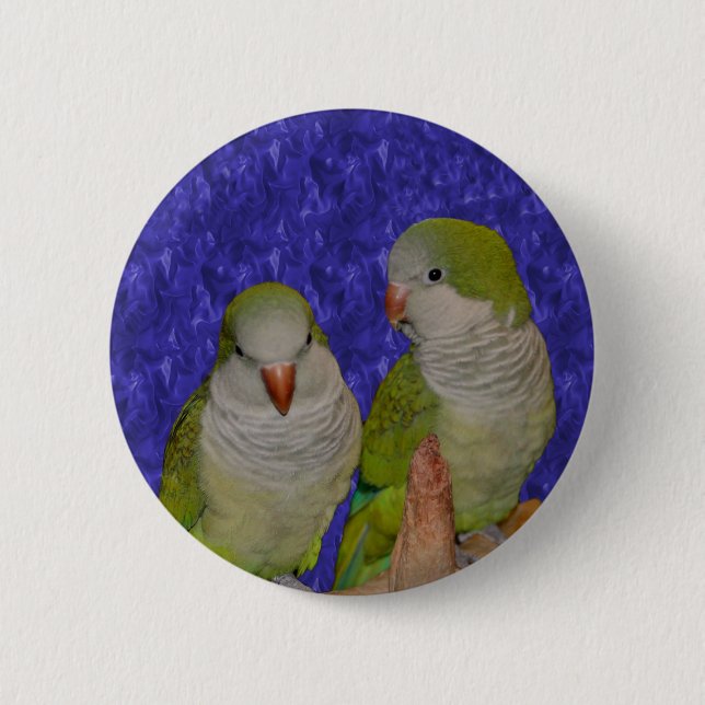 Baby Quaker Parrot Pair Animal Button (Vorderseite)
