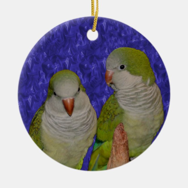 Baby Quaker Parrot Pair Bird Ornament (Vorne)