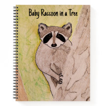 Baby Raccoon in einem Baum