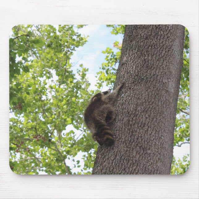 Baby Raccoon Mousepad (Vorne)
