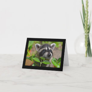Baby Raccoon Notecard Karte