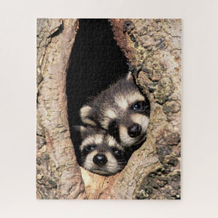 Baby Raccoons Peeking out of Tree Puzzle