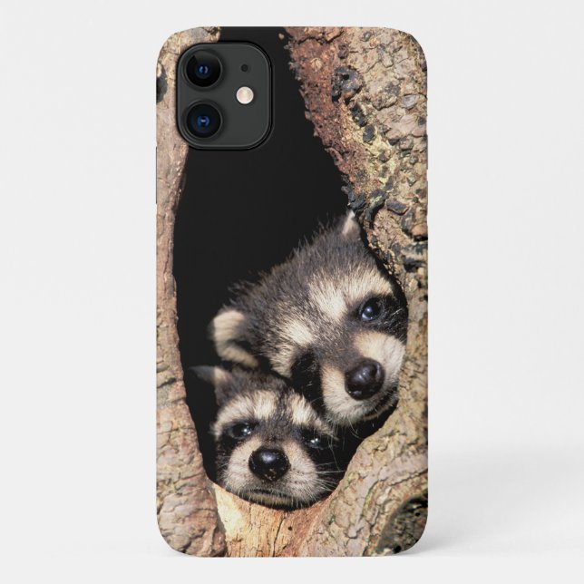 Baby Raccoons pinkeln aus Bäume Case-Mate iPhone Hülle (Rückseite)