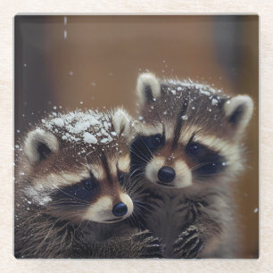 Baby-Raccoons stürzen sich im sinkenden Schnee Glasuntersetzer