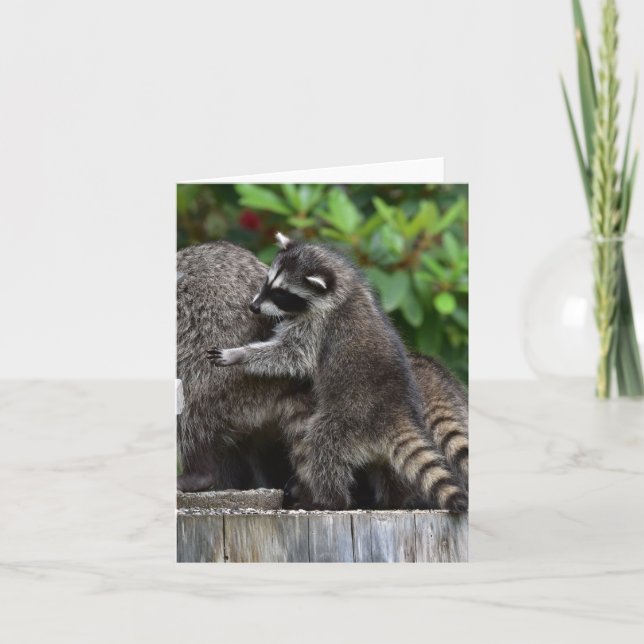 Baby Raccoons und Mama Karte (Vorderseite)