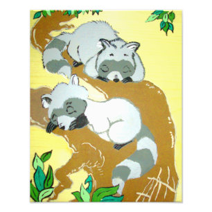 Baby Raccos Schlafen Print Fotodruck