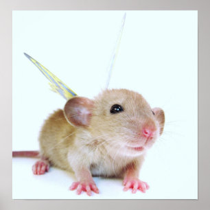 Baby Rat Butterfly Poster