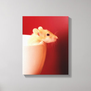 Baby Rat Leinwanddruck