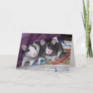 Baby Rats ~card Karte