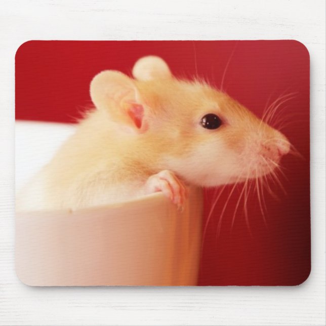 Baby-Ratte Mousepad (Vorne)