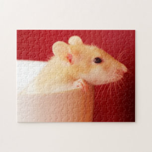 Baby-Ratte Puzzle