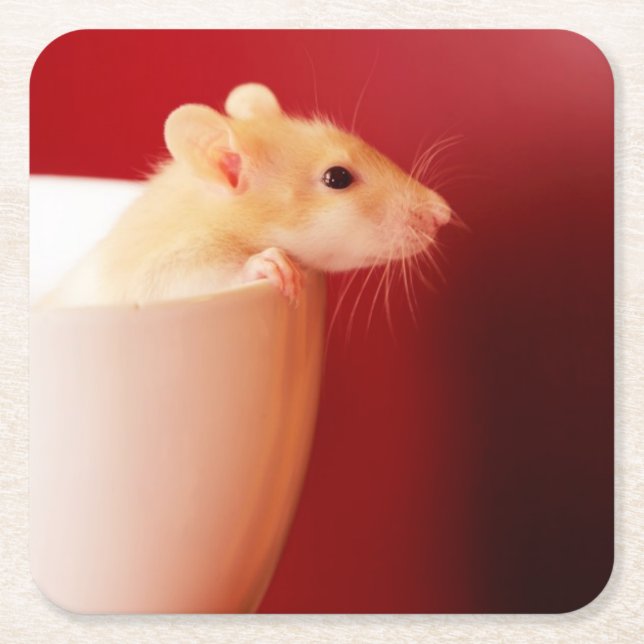 Baby-Ratte Rechteckiger Pappuntersetzer (Vorderseite)