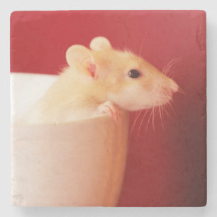 Baby-Ratte Steinuntersetzer