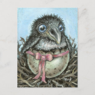 Baby Raven Postkarte