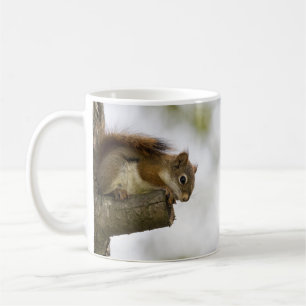 Baby Red Squirrel Kaffeetasse