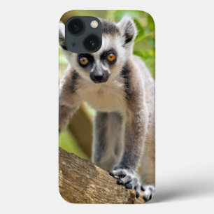 Baby Ring-angebundener Lemur Case-Mate iPhone Hülle