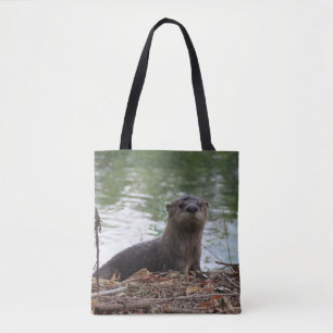 Baby River Otter