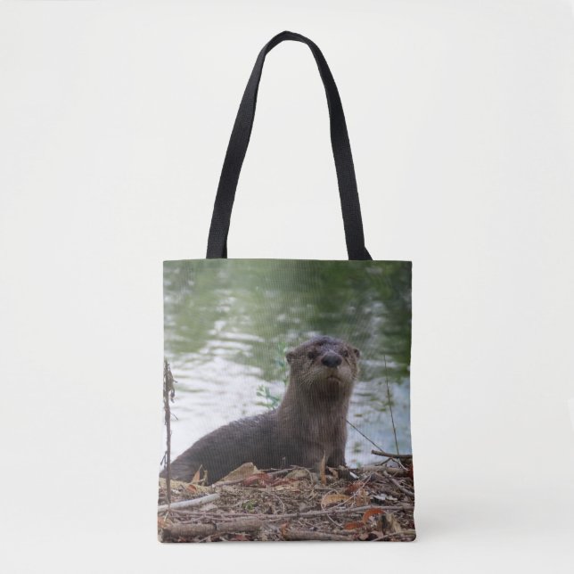 Baby River Otter (Vorderseite)