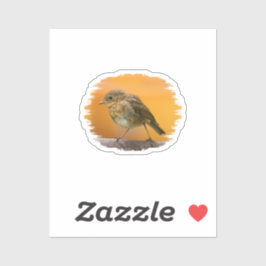 Baby Robin auf einem Baumzweig Aufkleber