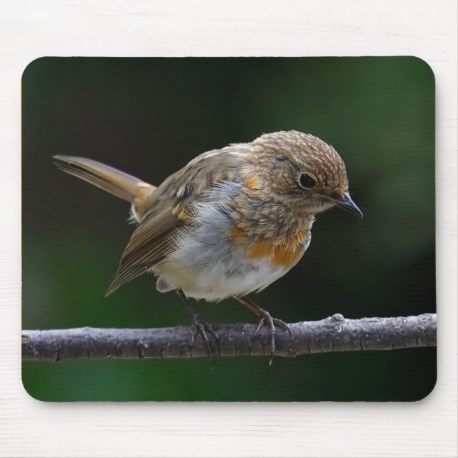 Baby Robin Mouspad Mousepad (Vorne)