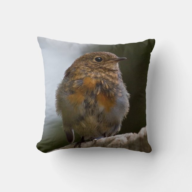 Baby Robin Pillow Kissen (Vorderseite)