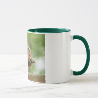 Baby-Robin-Tasse Tasse