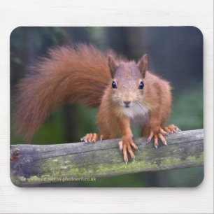 Baby-Rot Mousemat Mousepad