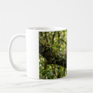 Baby-Rotpanda-Ruht auf einem Baum Kaffeetasse