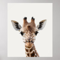 Baby Safari African Jungle Animals Giraffe